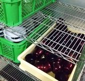 株式会社湘南総合サービスの求人・転職情報-03