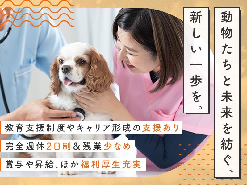 株式会社ひだまりの求人・転職情報