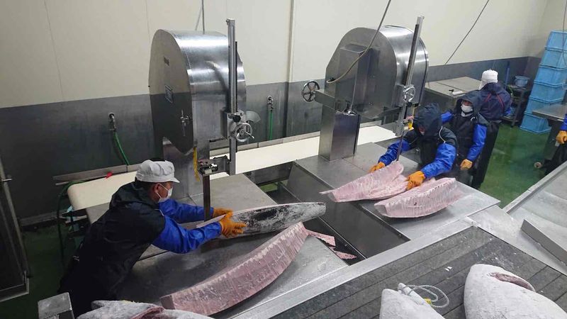 株式会社カネセイ水産のアルバイト・バイト求人情報-05