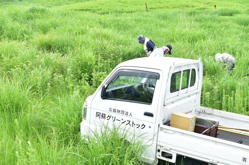 公益財団法人　阿蘇グリーンストックの求人・転職情報