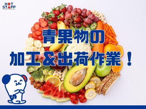 株式会社ホットスタッフ五日市(50)のアルバイト・バイト求人情報-02