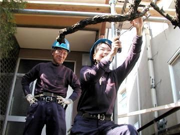 株式会社日本チッタの求人・転職情報