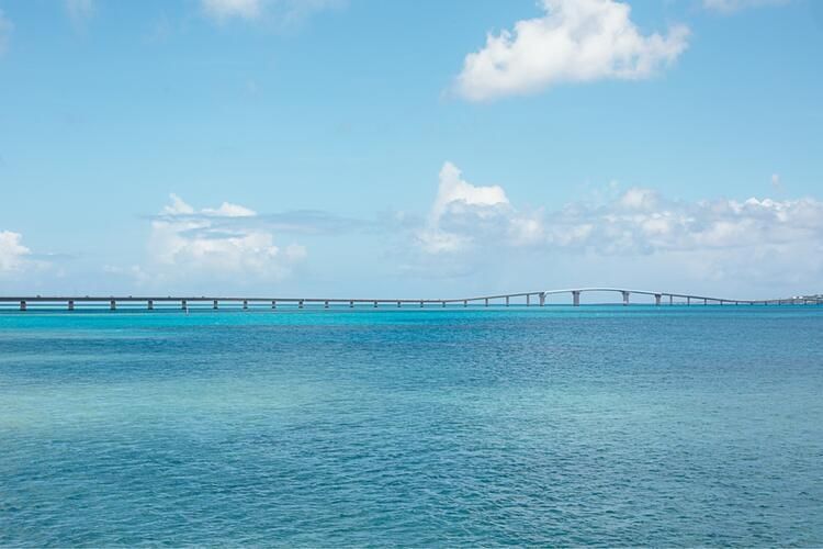 blanquita(ブランキータ)のアルバイト・バイト求人情報-03