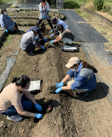 株式会社ＴＮプランテーションの求人・転職情報