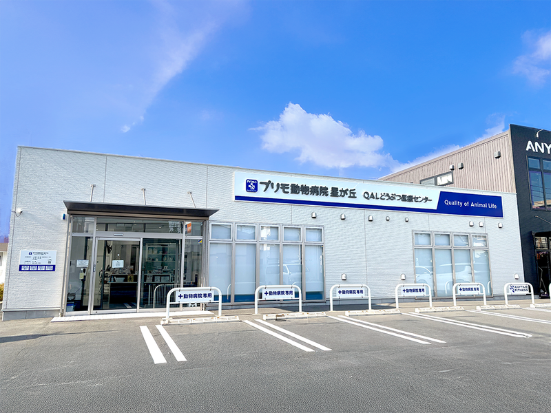 株式会社ＪＰＲの求人・転職情報