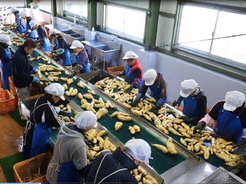二幸冷蔵運輸株式会社のアルバイト・バイト求人情報-02