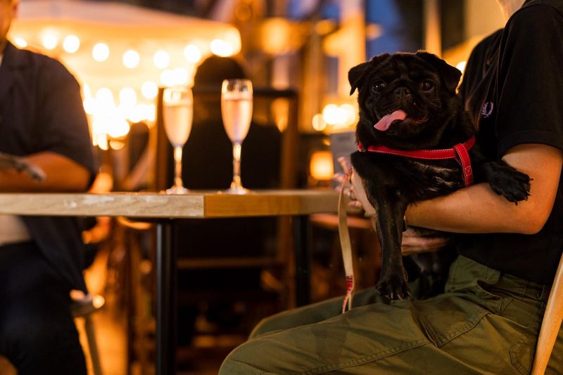 株式会社ｏｎｅ‐ｏｎ‐ｏｎｅの求人・転職情報