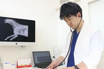クロス動物医療センター藤沢のアルバイト・バイト求人情報-02