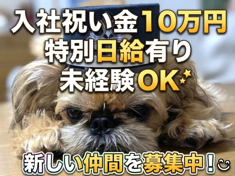 クロスガード株式会社のアルバイト・バイト求人情報