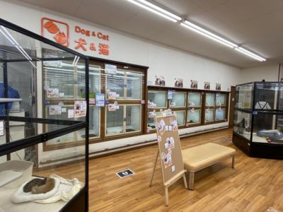 DCM一宮店 ペットコーナーのアルバイト・バイト求人情報-05