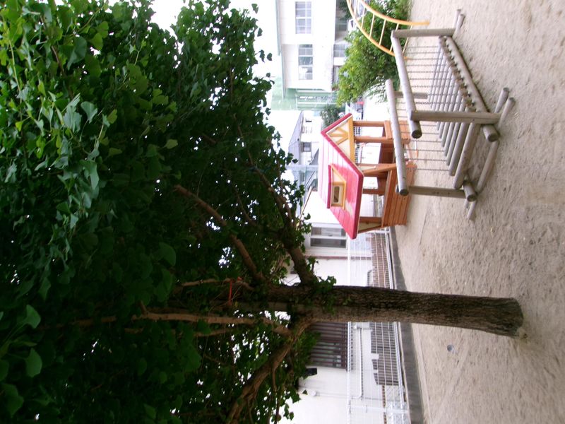 社会福祉法人みらいの求人・転職情報