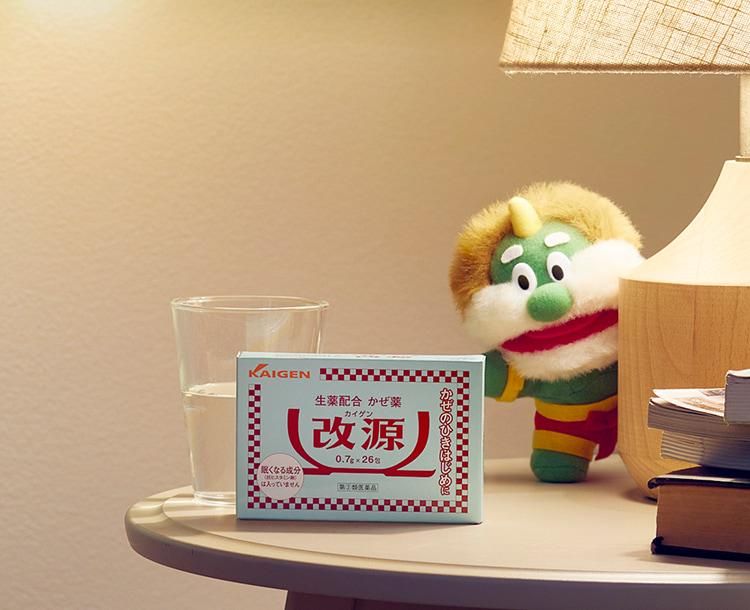 カイゲンファーマ株式会社