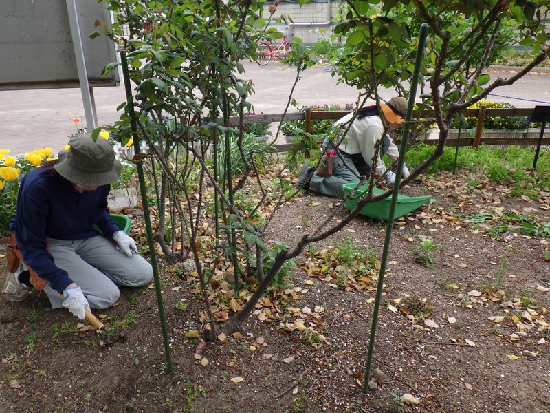 公益財団法人名古屋市みどりの協会のアルバイト・バイト求人情報-02