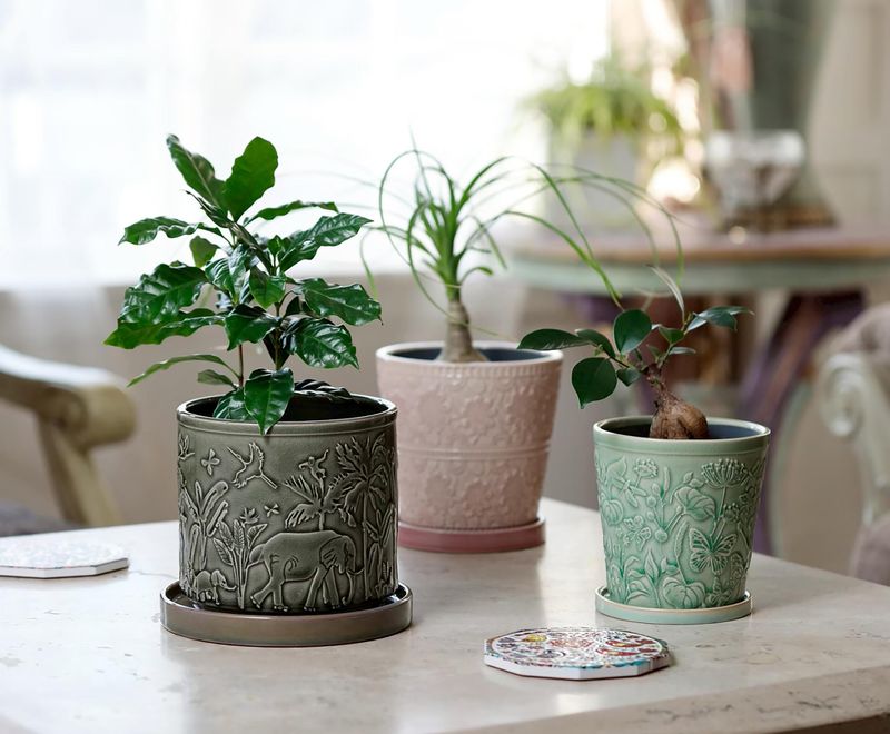 株式会社デルキの求人・転職情報