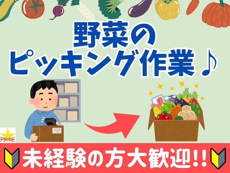 株式会社スタープライド(大阪府大阪市福島区野田/102)のアルバイト・バイト求人情報-28