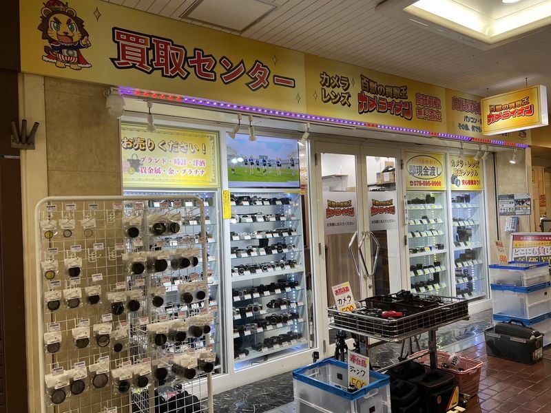 百獣の買取王　カメライオンの派遣求人情報