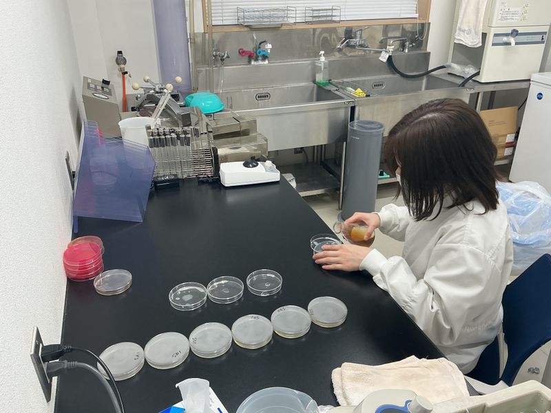 タイヘイ株式会社の求人・転職情報