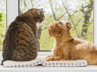 株式会社からだ想いのアルバイト・バイト求人情報-03