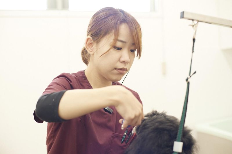 はるひな動物病院のアルバイト・バイト求人情報-03