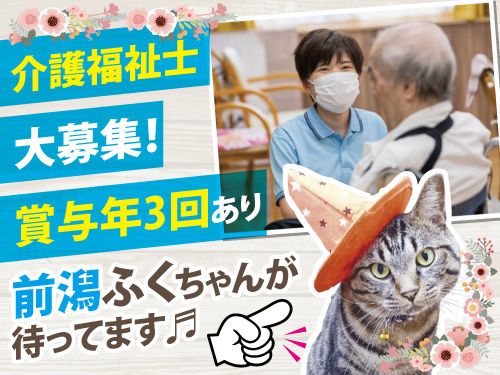 有限会社メルシー-0003の求人・転職情報