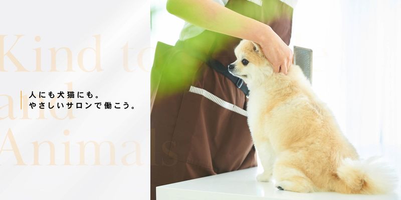 株式会社ディアカールの求人・転職情報