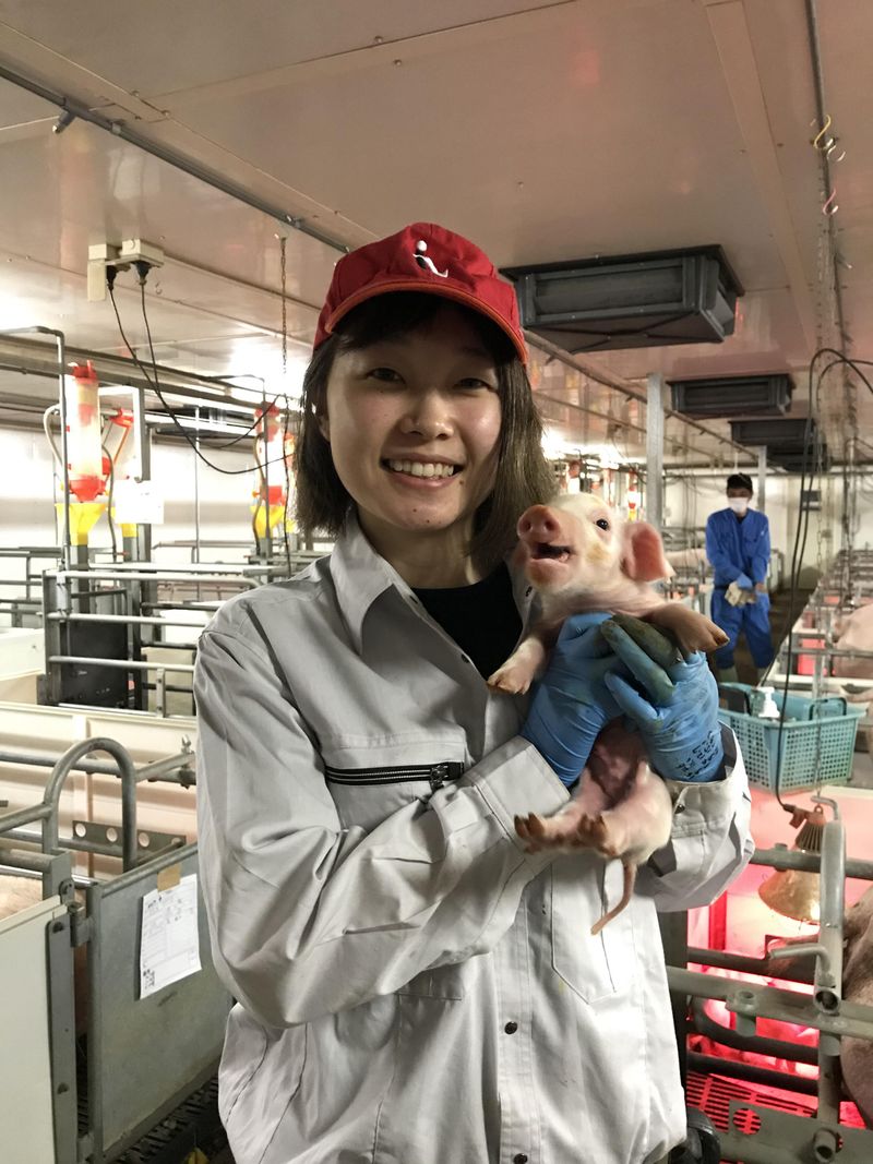 株式会社畜産経営研究所