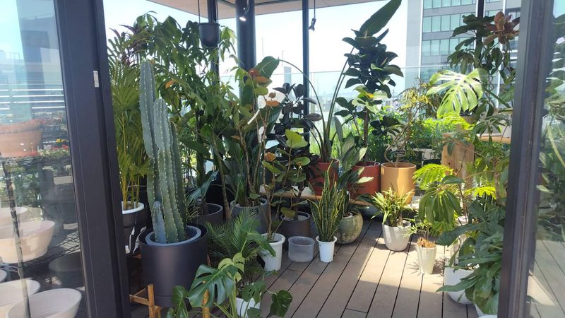 赤松種苗株式会社のアルバイト・バイト求人情報-05