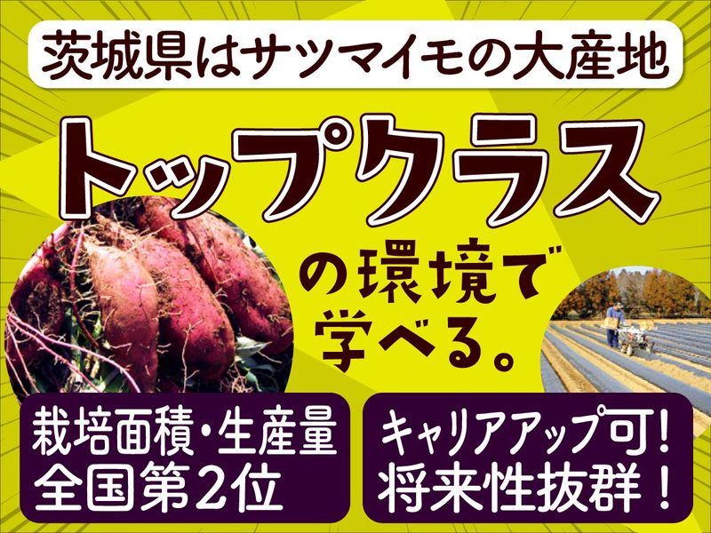 農事組合法人マルツボの求人・転職情報