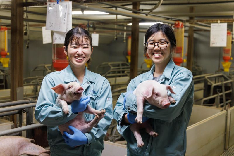 クレストグループ