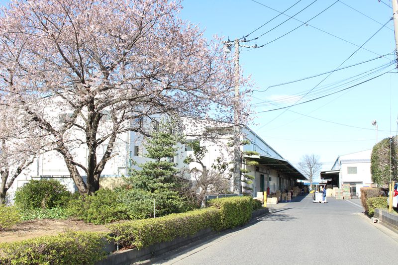 オリヤス株式会社　三芳物流センターの求人5