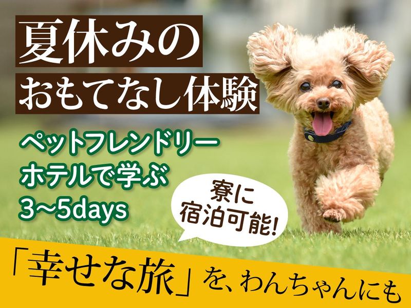 <動物好き必見>ペットホテルで学ぶセラピスト体験!