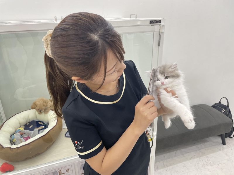 Cattleya　新宿店のアルバイト・バイト求人情報-03