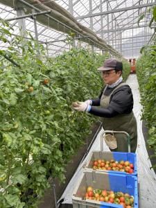 株式会社サンファーム 軽井沢のアルバイト・バイト求人情報-05