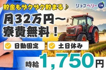 シーデーピージャパン株式会社のアルバイト・バイト求人情報-30