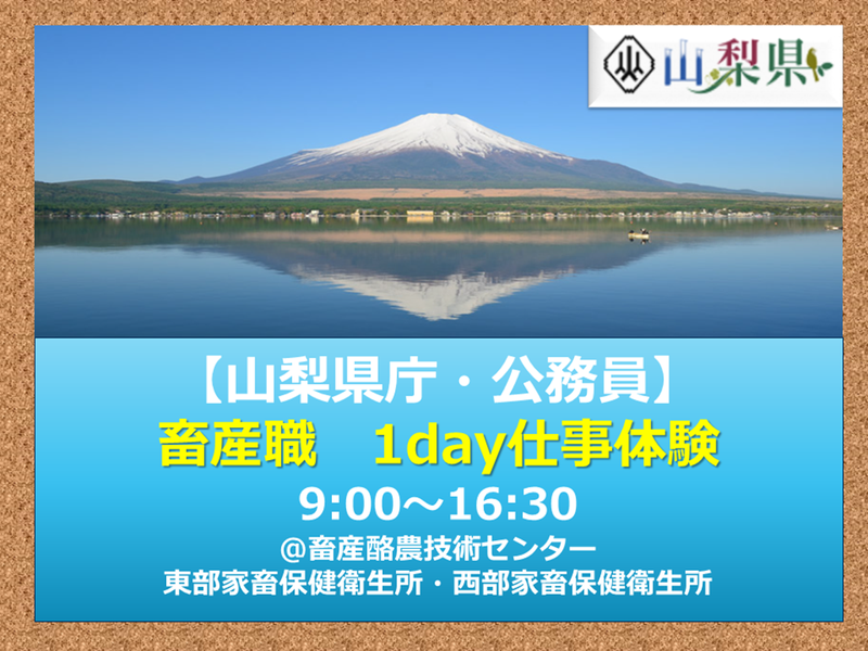 【山梨県庁・公務員】畜産職体験コース
