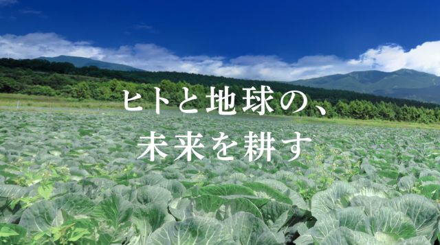 株式会社ベジテックの求人・転職情報