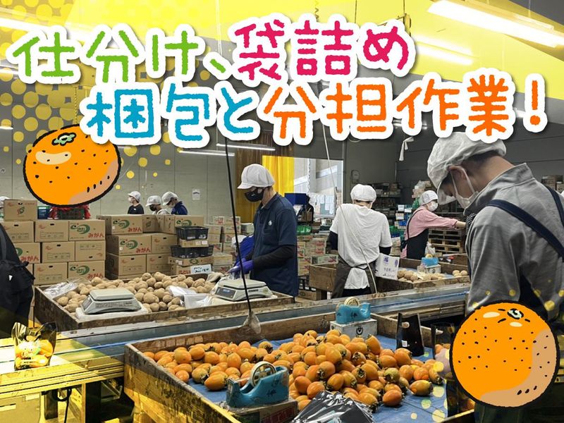多摩商事株式会社(東京多摩青果:国立市場内)のアルバイト・バイト求人情報-03