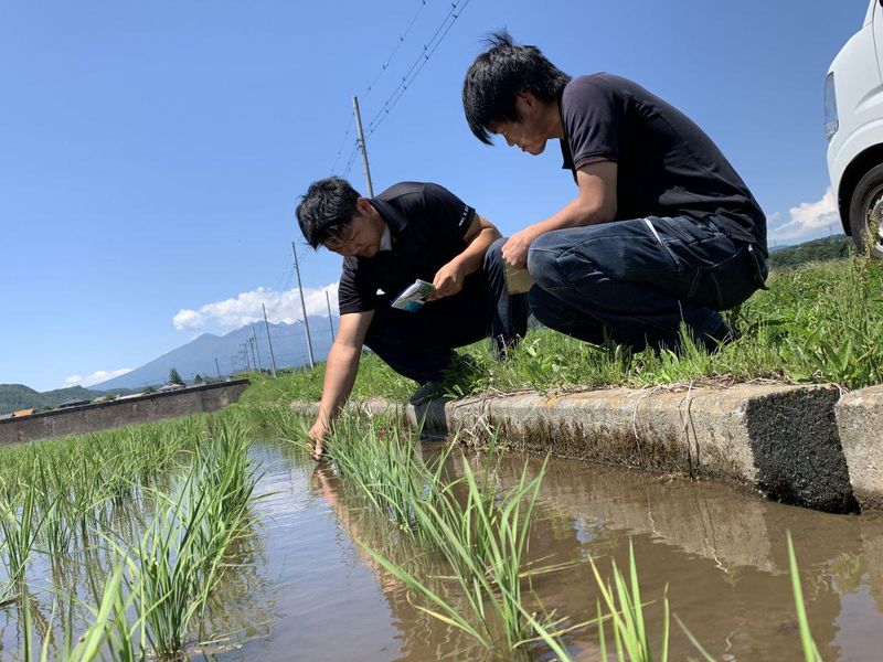 梨北農業協同組合