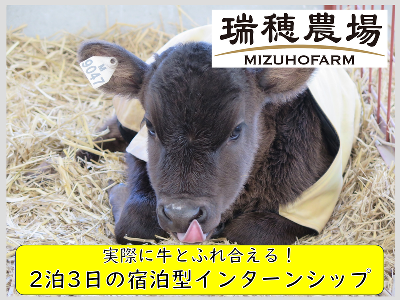 株式会社瑞穂農場