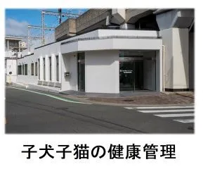株式会社ひごペットフレンドリーの求人・転職情報
