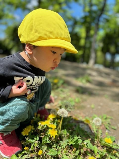 学校法人小泉学園の求人・転職情報