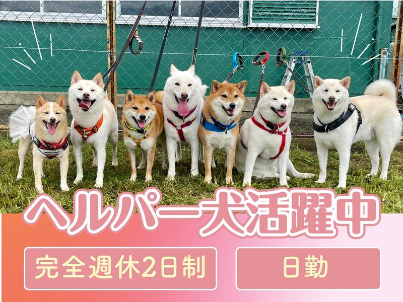 有限会社　ニコニコ介護センター-0002の求人・転職情報