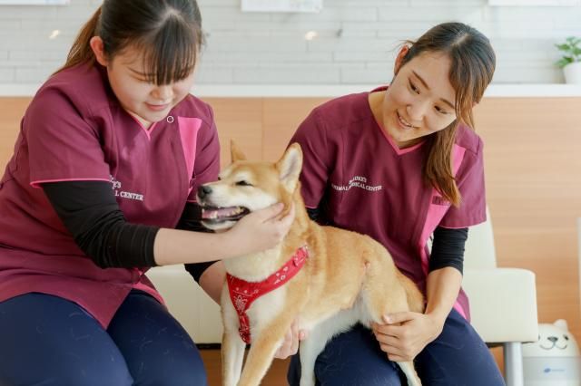 株式会社イオンペット-0012の求人・転職情報