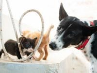 株式会社FLFのアルバイト・バイト求人情報-03