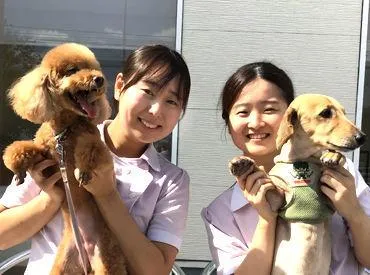 株式会社みどりが丘動物病院の求人・転職情報
