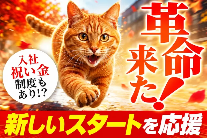 株式会社Ｎｅｗ　Ｓｅｎｓｅの求人・転職情報
