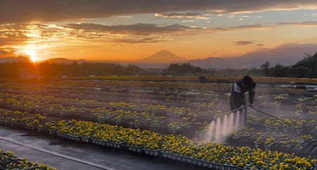 株式会社　永田農園のアルバイト・バイト求人情報-02