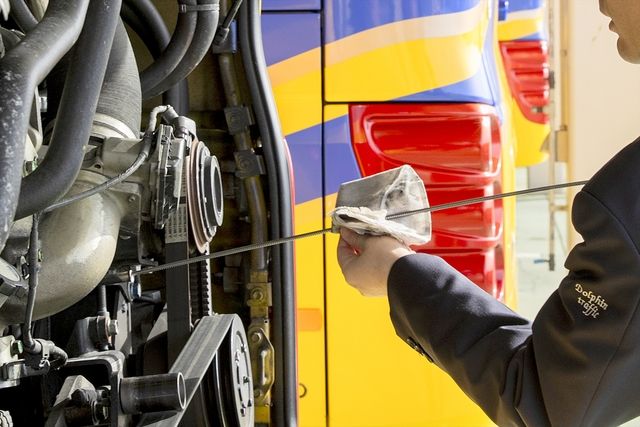 イルカ交通株式会社の求人・転職情報