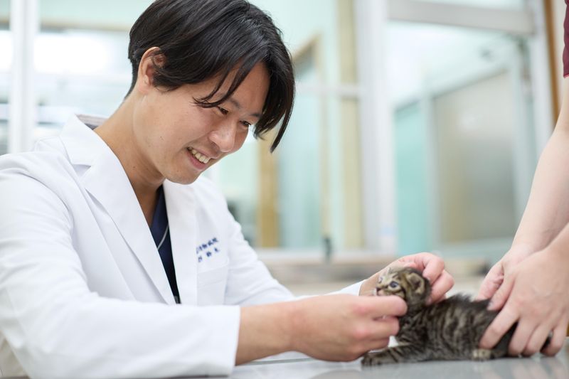 有限会社茶屋ヶ坂動物病院のアルバイト・バイト求人情報-03