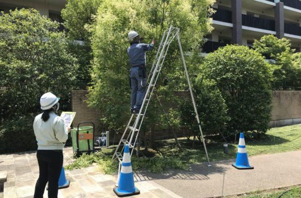 東急グリーンシステム株式会社の求人・転職情報